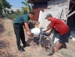 Wujudkan Ketahanan Pangan Nasional, Babinsa Pakal Bantu Petani Panen Padi di Wilayah