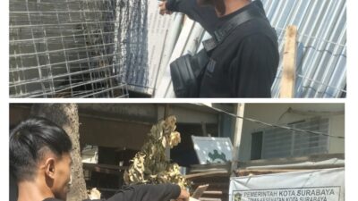 Foto : Pelaksana Proyek Puskesmas Sidotopo Wetan Diduga Abaikan Papan Reklame