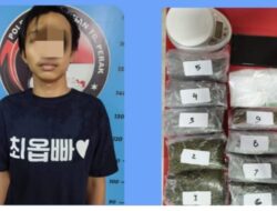 Budak Ganja Kering Asal Surabaya di Tangkap Polisi