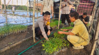 Foto : Polres Gresik bersama Warga Tani Wujudkan Ketahanan Pangan Tanam Ribuan Bibit Cabai di Menganti