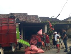 Babinsa Desa Sembung Dampingi Penyerapan Gabah Petani Binaan