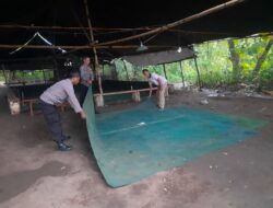 Berantas Perjudian, Polisi Bongkar Arena Sabung Ayam di Nganjuk