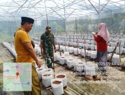Babinsa Koramil 0829-15/Geger Laksanakan Pendampingan Program Ketahanan Pangan Terpadu di Wilayah Desa Binaan