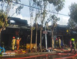 Sijago Merah Lahap Dua Toko di Jalan Semarang Surabaya