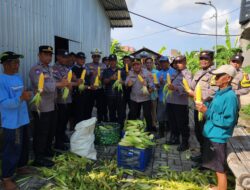 Dukung Ketahanan Pangan Nasional, Polres Pelabuhan Tanjung Perak Gelar Panen Raya Jagung Manis ke-8