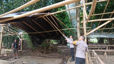 Tegas Berantas Perjudian Polisi Bongkar Lima Arena Sabung Ayam di Jember