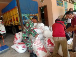 Babinsa Koramil 0829-17/Tanjung Bumi Dampingi Penyerapan Gabah di Desa Bumianyar