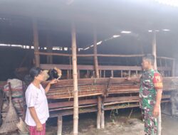 Babinsa Driyorejo Lakukan Pemantauan Ternak Jelang Idul Adha