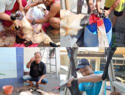 Mbah Wawan : Mengenang Sejarah Nabi Ibrahim AS, di Momen Hari Raya Idul Adha 1446 H-2025