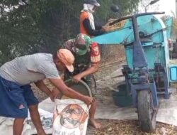 Aktif Dampingi Petani, Babinsa Menganti Dorong Serapan Gabah Maksimal di Wilayah