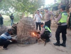 Tiga Pilar Polsek Ngoro Bubarkan Tempat Perjudian Sabung Ayam