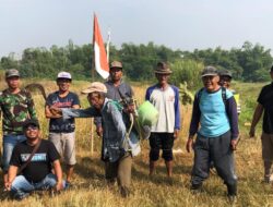 Tuntut Sisa Pembayaran, 7 Petani Di Kab. Mojokerto Duduki Kembali Ladangnya