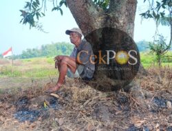 Diduga Jadi Korban Penipuan Berkedok Panitia Jual Beli Tanah, Petani Berharap Kehadiran Pemerintah