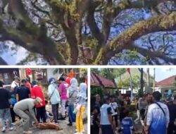 Diduga Halaman Pendopo Agung Tidak Terawat, Satu Anak Meninggal Dunia dan Satu Patah Tulang