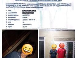 Pria Berinisial AM Dilaporkan Atas Dugaan Persetubuhan Anak di Bawean, Korban Hamil 3–4 Bulan