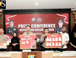 Polres Jember Bongkar Jaringan Narkoba 15 Tersangka Diamankan, Modus “Ranjau” Terkuak