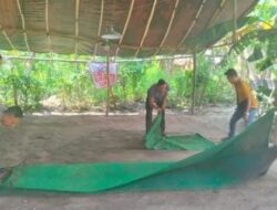 Polisi Bongkar Arena Judi Sabung Ayam di Bagor Nganjuk