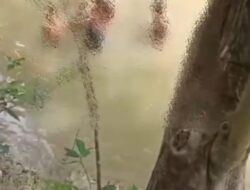 Lima Bocah Asik mandi disungai Satu bocah umur 13 tahun tewas tenggelam
