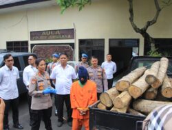 Polres Jembrana Berhasil Ungkap Kasus Illegal Logging Kawasan Hutan Melaya