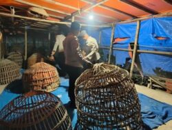 Polres Lamongan Bongkar Arena Judi Sabung Ayam di Dua Lokasi berbeda