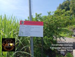 Perbaikan Proyek TPT Kec. Dlanggu Jadi Sorotan Publik