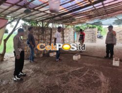Polisi Mendatangi Desa Kapadangan Tulangan Sidoarjo Diduga Menjadi Lokasi Sabung Ayam