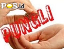 Resah dengan Praktik Pungutan Liar, Pelaku Usaha Kayu Trenggalek Desak Kepastian Hukum