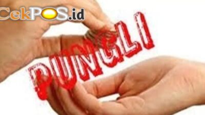 Resah dengan Praktik Pungutan Liar, Pelaku Usaha Kayu Trenggalek Desak Kepastian Hukum