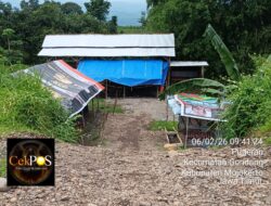 Sebuah Bangunan Dekat Rumah Kades Pugeran Diduga Jadi Arena Judi Sabung Ayam