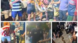 Ular Piton Sepanjang 5 Meter Gegerkan Warga Tambak Segaran Surabaya.