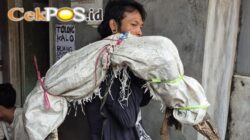 Viral Pria di Tambora Diduga Gendong Mayat, Ternyata Isinya Bikin Geleng Kepala