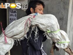 Viral Pria di Tambora Diduga Gendong Mayat, Ternyata Isinya Bikin Geleng Kepala