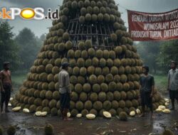 Produksi Anjlok, Kenduri Durian Wonosalam 2026 Terancam Batal Digelar.