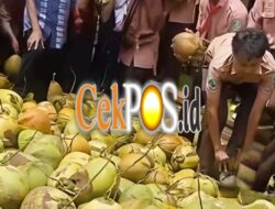 BGN Hentikan Sementara 9 SPPG di Gresik, Imbas Menu Kelapa Utuh dalam Program MBG