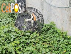 Polsek Wonocolo Terima Laporan Pencurian Burung Murai dan Dua Ponsel, Kerugian Capai Rp19 Juta