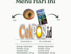 Wali Murid Keluhkan Menu SPPG: “Ini Bukan Makanan Bergizi, Hanya Camilan