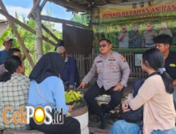 Wujudkan Swasembada Pangan, Polsek Kenjeran Gandeng Mahasiswa Riset Kualitas Jagung di Tambak Wedi