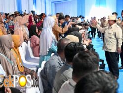 Panen Raya Jagung Bersama Presiden Prabowo, Petani Optimistis Swasembada Pangan Tercapai