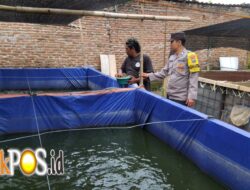 Polres Ngawi Gelorakan Swasembada Pangan, Dampingi Warga Budidaya Ikan Lele
