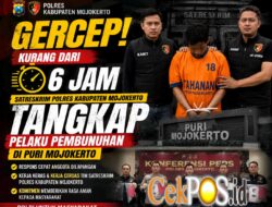 Kabur Lintas Kota, Pelaku Pembunuhan di Mojokerto Dibekuk Jatanras dalam Hitungan Jam