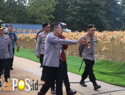 Polri Bersama Petani Jagung Tuban Bersiap Sambut Kehadiran Presiden RI pada Panen Raya