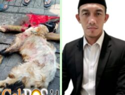 Jaga Sunnah dan Kebersamaan, Redaksi Harian Mata Berita Sembelih Hewan Qurban
