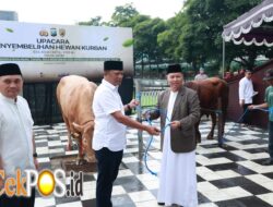 Iduladha 1447 H Polda Jatim Salurkan Ratusan Hewan Kurban untuk Masyarakat