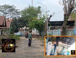 Tanpa SPK, Hasil Potong Pohon Dan Ranting Di Terminal Kertajaya Dijual Ke Pengerajin Bata