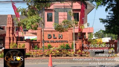 Diduga Kangkangi DLH Kota Mojokerto, Hasil Penjualan Penebangan Pohon Di Terminal Kertajaya Dipertanyakan