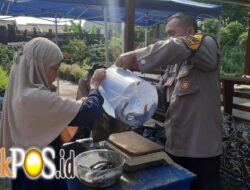 Sinergi Polsek Krembangan dan KWT Dorang Cinta Panen Lele, Dukung Ketahanan Pangan Nasional