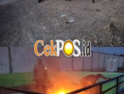 Respon Cepat Laporan Warga, Polresta Sidoarjo Bongkar Lokasi Diduga Sabung Ayam