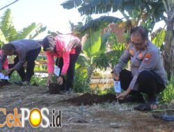 Peduli Lingkungan, Polres Probolinggo Tanam Puluhan Pohon Kado Hari Bhayangkara ke – 80