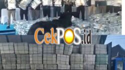 BNN Bongkar Sindikat Narkoba Internasional di Gresik, 3,37 Ton Ganja Asal Thailand Disita dari Ratusan Koper
