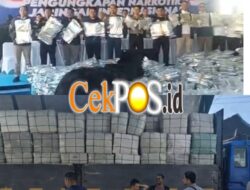 BNN Bongkar Sindikat Narkoba Internasional di Gresik, 3,37 Ton Ganja Asal Thailand Disita dari Ratusan Koper